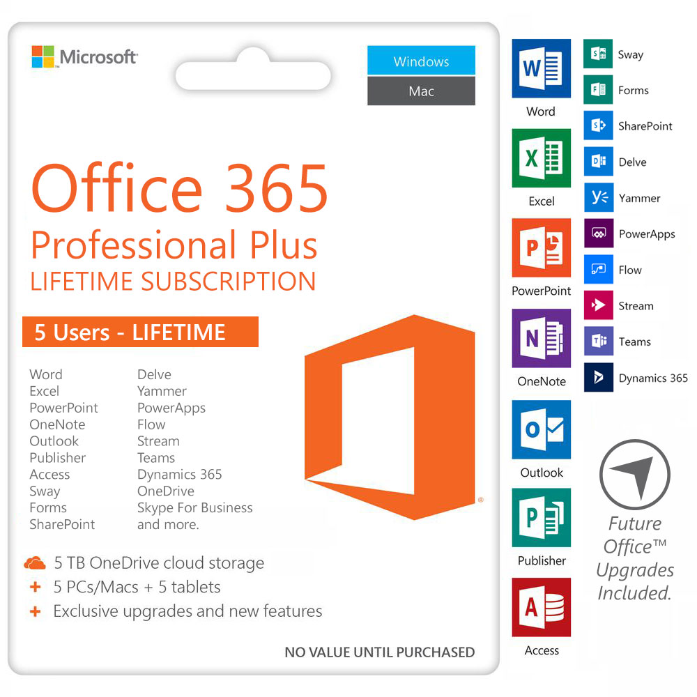 ms office professional plus 2019 vs home & business