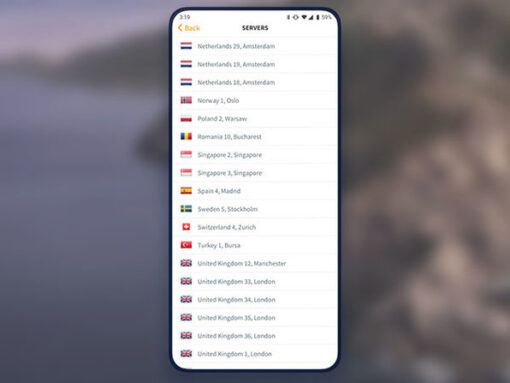 Goose VPN: 2-Yr Subscription - Image 2