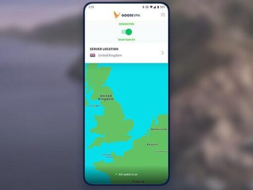 Goose VPN: 2-Yr Subscription - Image 3