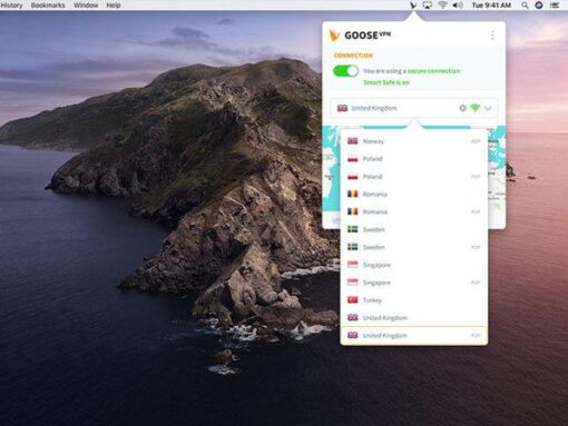 Goose VPN: 2-Yr Subscription - Image 4