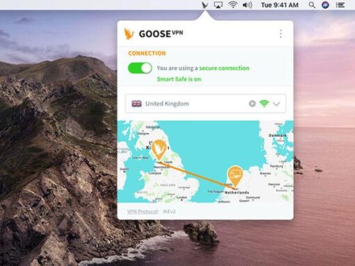 Goose VPN: 2-Yr Subscription - Image 5