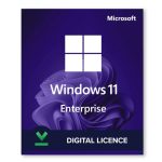 Windows 11 Enterprise 20 Devices Activation