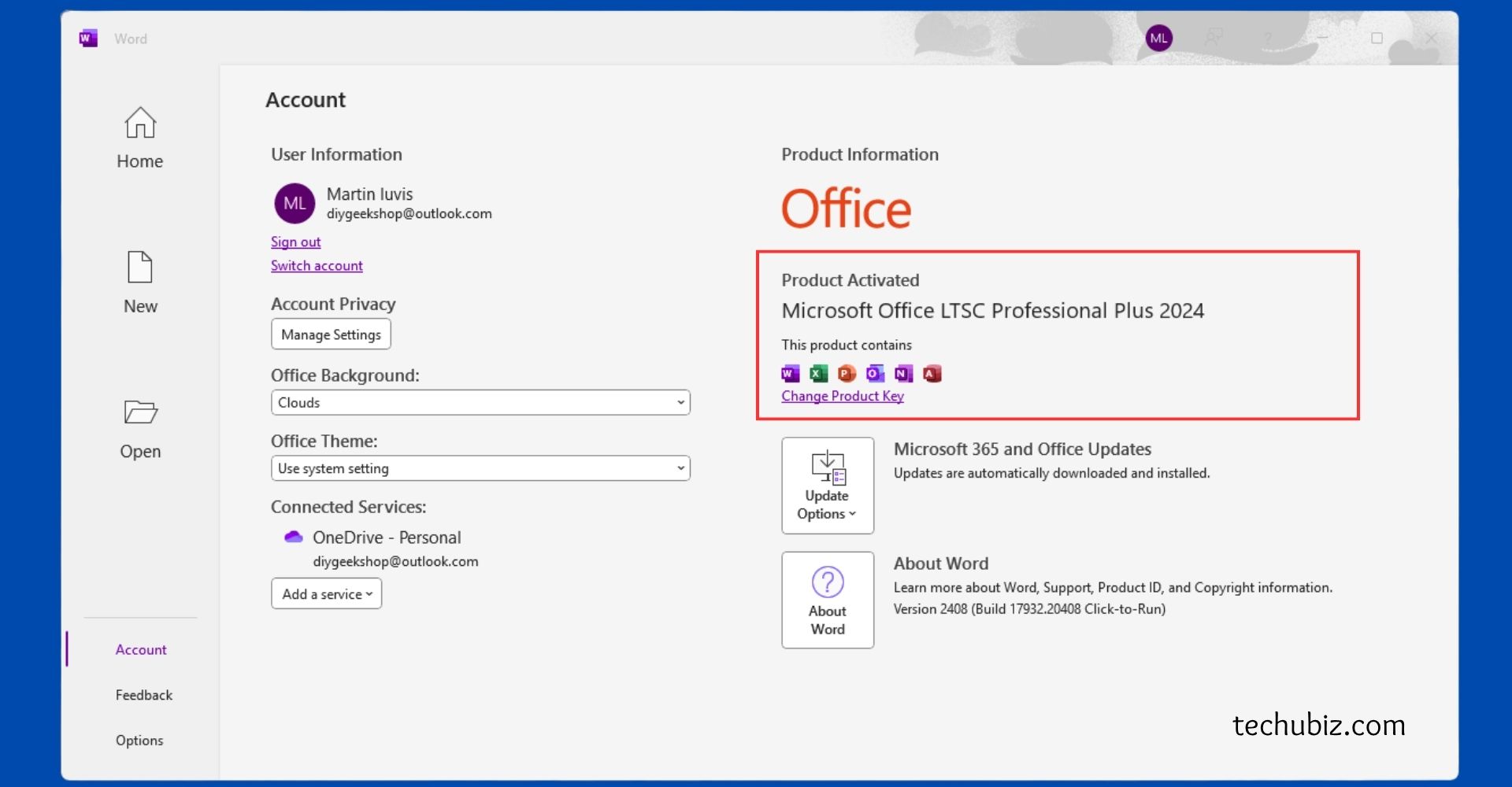 Microsoft Office 2024 Professional Plus LTSC Activation 1PC