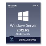 Windows Server 2012 Remote Desktop Services Devices Connections (50)